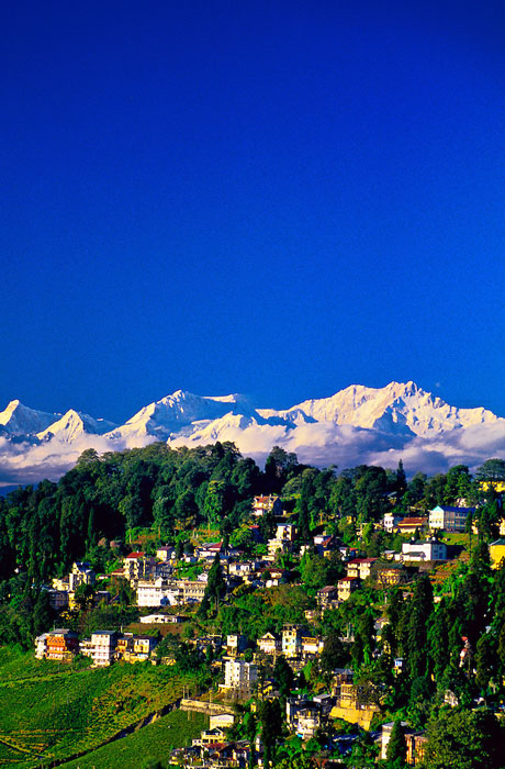 Darjeeling Honeymoon Special